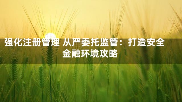 强化注册管理 从严委托监管：打造安全金融环境攻略
