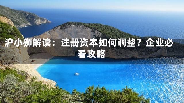 沪小狮解读：注册资本如何调整？企业必看攻略