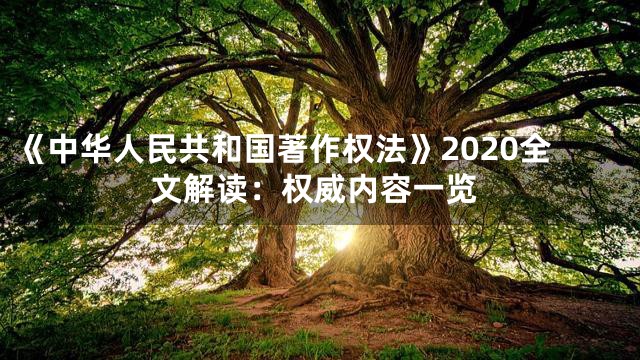 《中华人民共和国著作权法》2020全文解读：权威内容一览