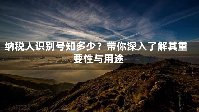 纳税人识别号知多少？带你深入了解其重要性与用途