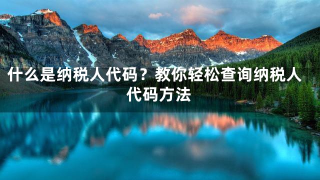 什么是纳税人代码？教你轻松查询纳税人代码方法