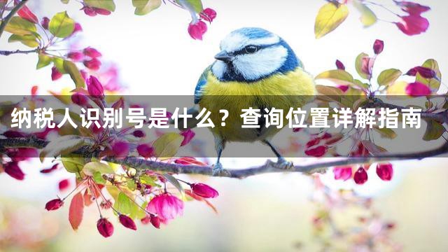 纳税人识别号是什么？查询位置详解指南