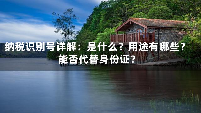 纳税识别号详解：是什么？用途有哪些？能否代替身份证？