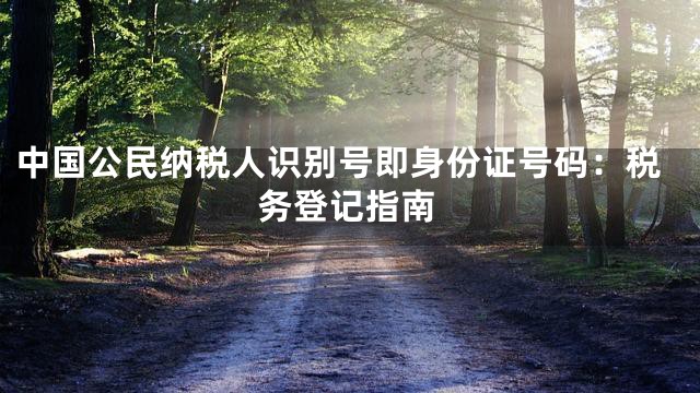 中国公民纳税人识别号即身份证号码：税务登记指南