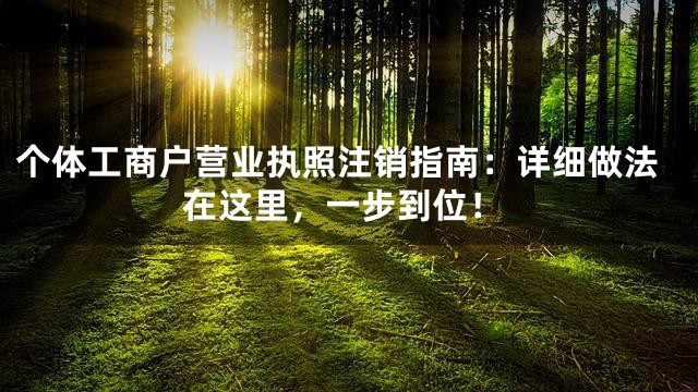 个体工商户营业执照注销指南：详细做法在这里，一步到位！