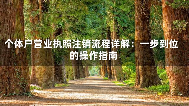 个体户营业执照注销流程详解：一步到位的操作指南