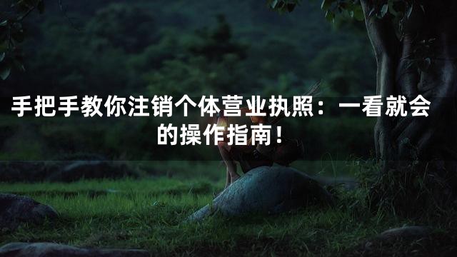 手把手教你注销个体营业执照：一看就会的操作指南！