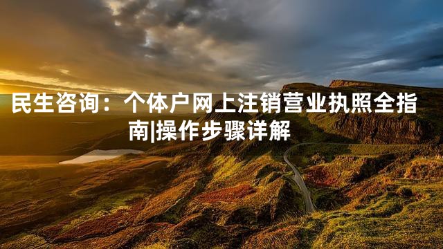 民生咨询：个体户网上注销营业执照全指南|操作步骤详解