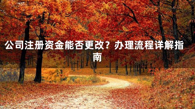 公司注册资金能否更改？办理流程详解指南