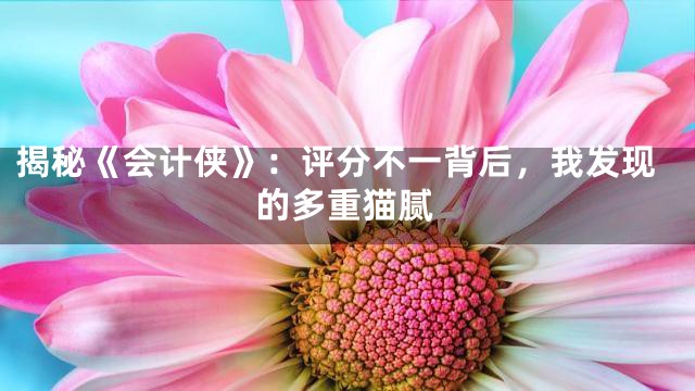 揭秘《会计侠》：评分不一背后，我发现的多重猫腻
