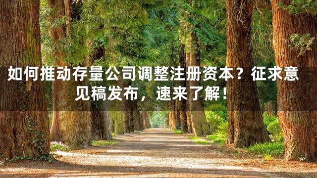 如何推动存量公司调整注册资本？征求意见稿发布，速来了解！