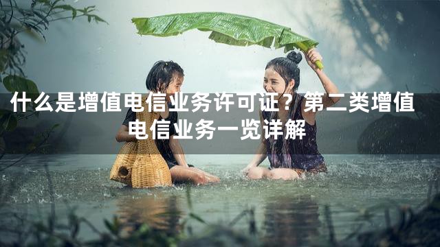 什么是增值电信业务许可证？第二类增值电信业务一览详解