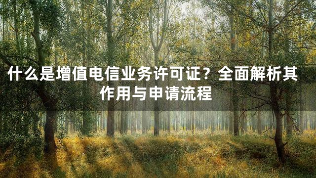 什么是增值电信业务许可证？全面解析其作用与申请流程