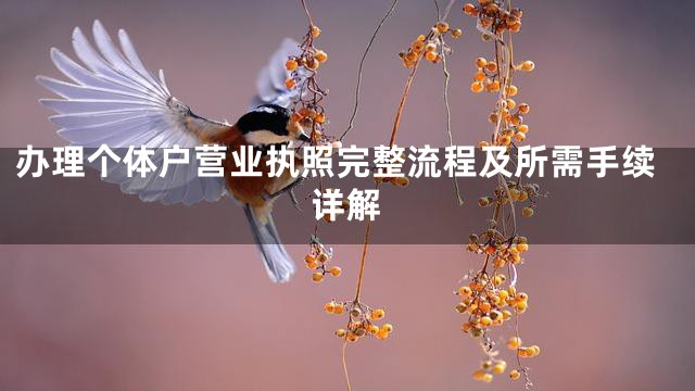 办理个体户营业执照完整流程及所需手续详解