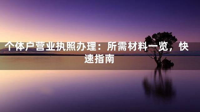 个体户营业执照办理：所需材料一览，快速指南