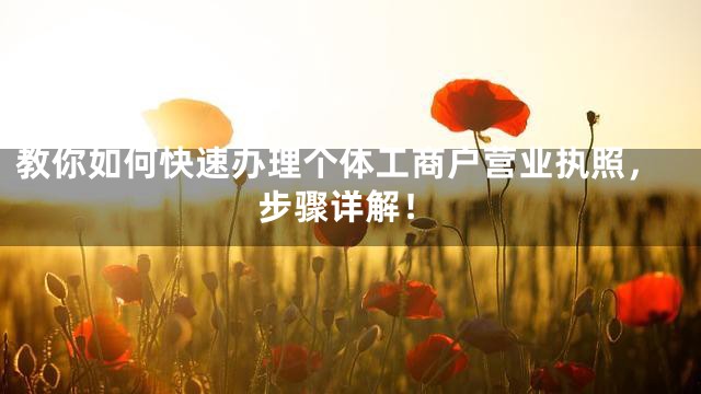 教你如何快速办理个体工商户营业执照，步骤详解！