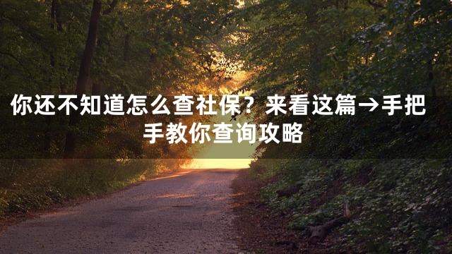 你还不知道怎么查社保？来看这篇→手把手教你查询攻略
