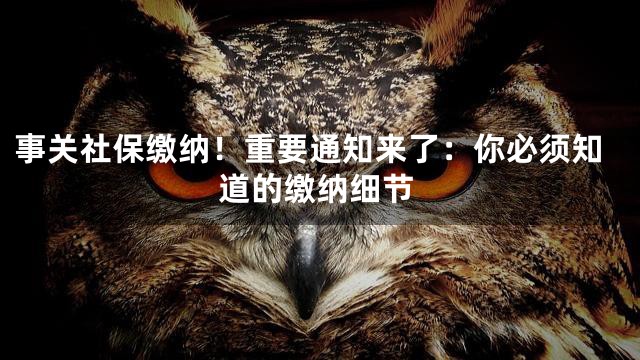 事关社保缴纳！重要通知来了：你必须知道的缴纳细节