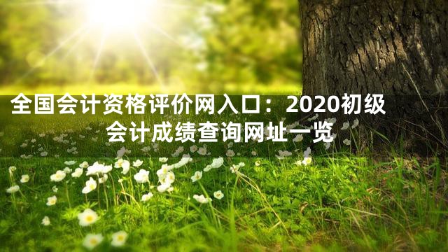 全国会计资格评价网入口：2020初级会计成绩查询网址一览