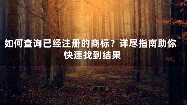 如何查询已经注册的商标？详尽指南助你快速找到结果