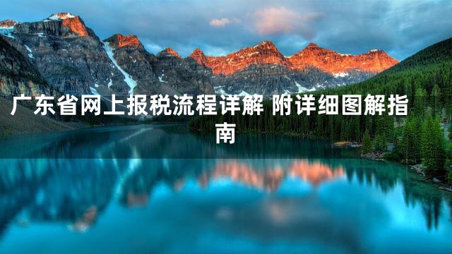 广东省网上报税流程详解 附详细图解指南