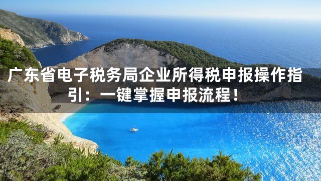 广东省电子税务局企业所得税申报操作指引：一键掌握申报流程！