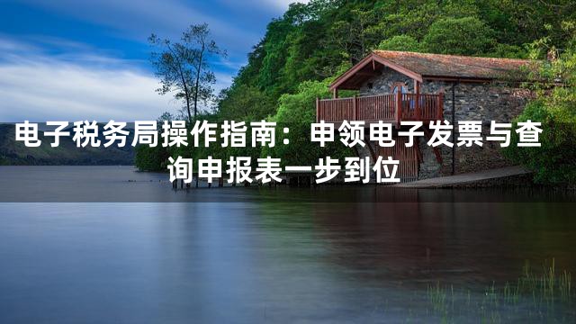 电子税务局操作指南：申领电子发票与查询申报表一步到位
