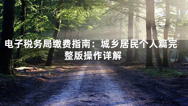 电子税务局缴费指南：城乡居民个人篇完整版操作详解