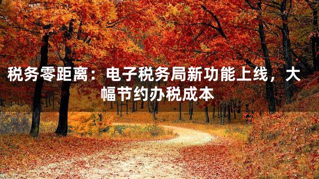 税务零距离：电子税务局新功能上线，大幅节约办税成本
