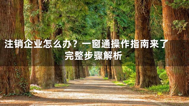 注销企业怎么办？一窗通操作指南来了 完整步骤解析