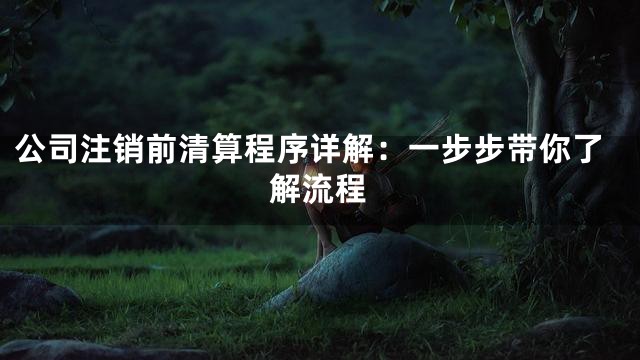 公司注销前清算程序详解：一步步带你了解流程