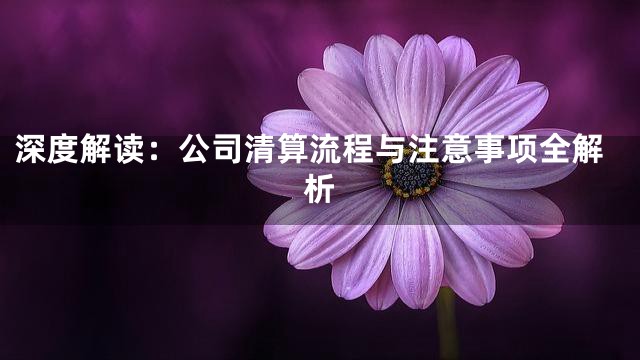 深度解读：公司清算流程与注意事项全解析