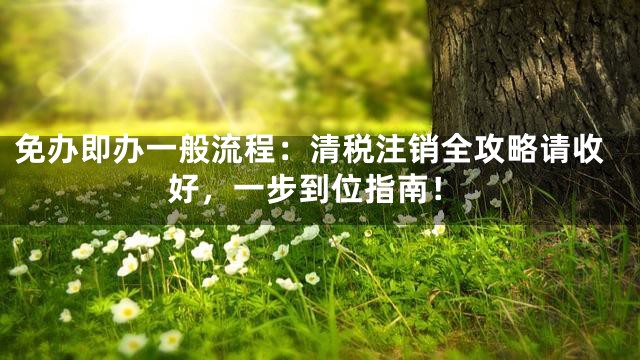 免办即办一般流程：清税注销全攻略请收好，一步到位指南！
