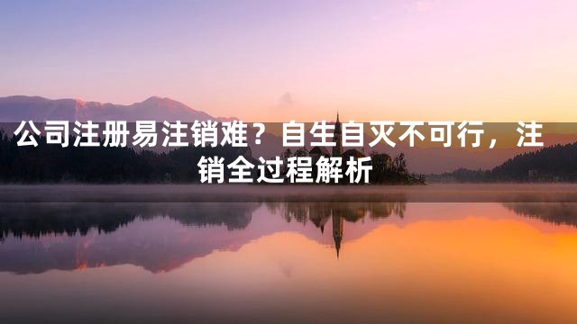 公司注册易注销难？自生自灭不可行，注销全过程解析