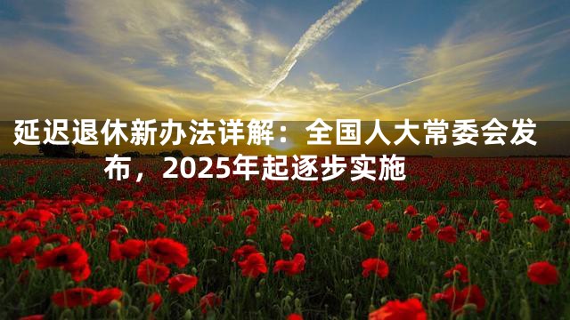延迟退休新办法详解：全国人大常委会发布，2025年起逐步实施