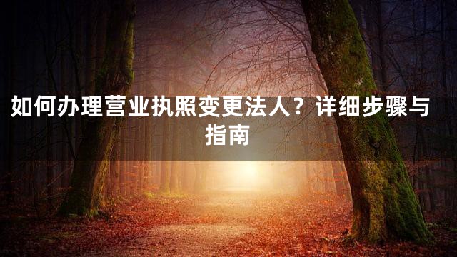如何办理营业执照变更法人？详细步骤与指南