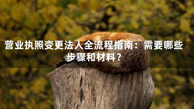 营业执照变更法人全流程指南：需要哪些步骤和材料？