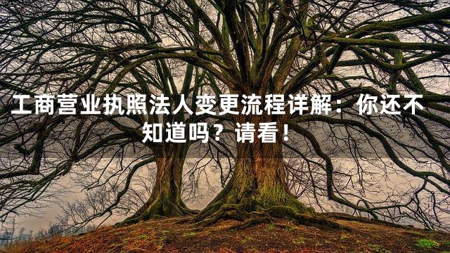 工商营业执照法人变更流程详解：你还不知道吗？请看！