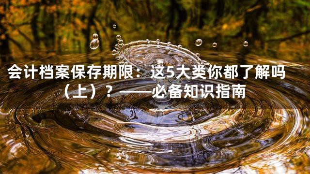 会计档案保存期限：这5大类你都了解吗（上）？——必备知识指南