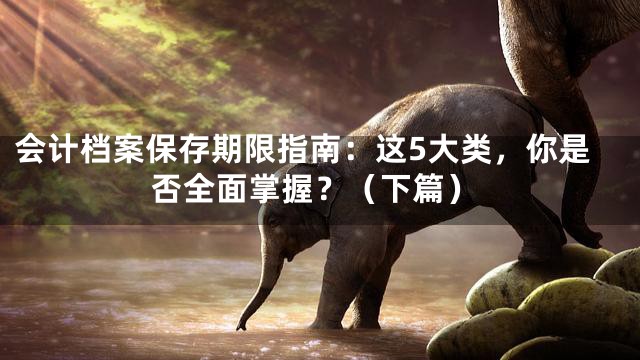会计档案保存期限指南：这5大类，你是否全面掌握？（下篇）