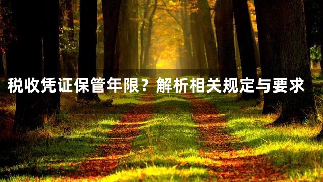 税收凭证保管年限？解析相关规定与要求