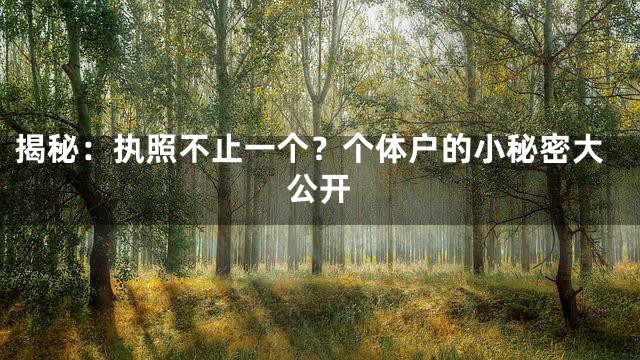 揭秘：执照不止一个？个体户的小秘密大公开