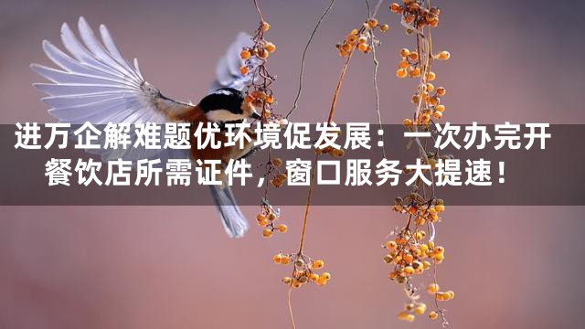 进万企解难题优环境促发展：一次办完开餐饮店所需证件，窗口服务大提速！