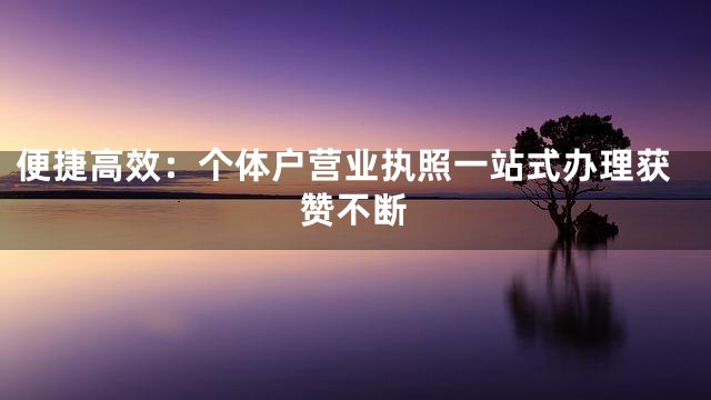 便捷高效：个体户营业执照一站式办理获赞不断