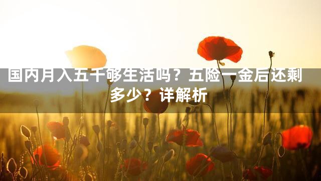 国内月入五千够生活吗？五险一金后还剩多少？详解析