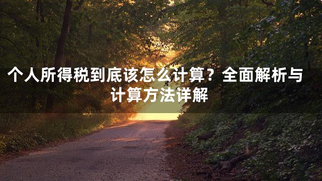 个人所得税到底该怎么计算？全面解析与计算方法详解
