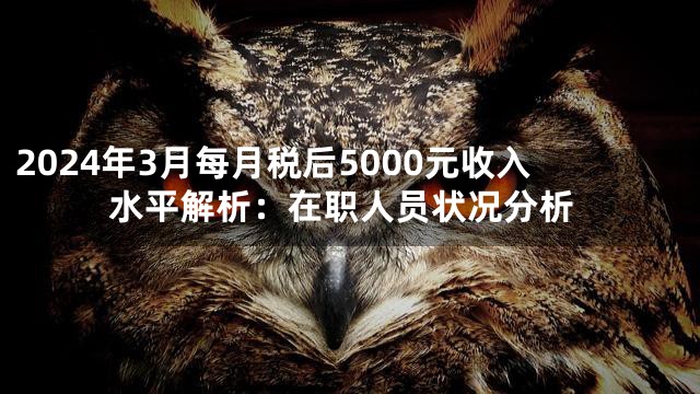 2024年3月每月税后5000元收入水平解析：在职人员状况分析