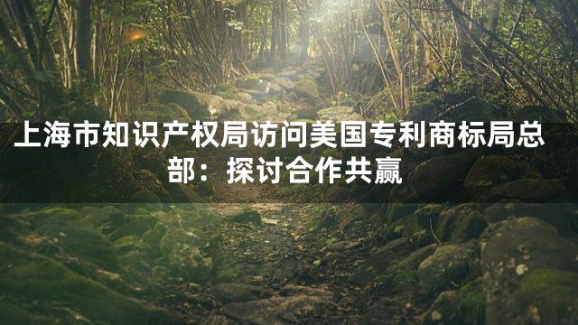 上海市知识产权局访问美国专利商标局总部：探讨合作共赢