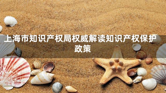 上海市知识产权局权威解读知识产权保护政策