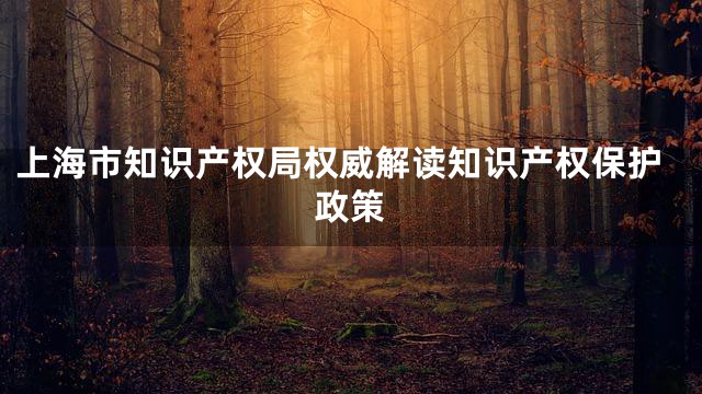 上海市知识产权局权威解读知识产权保护政策